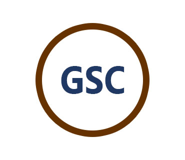 Consultant